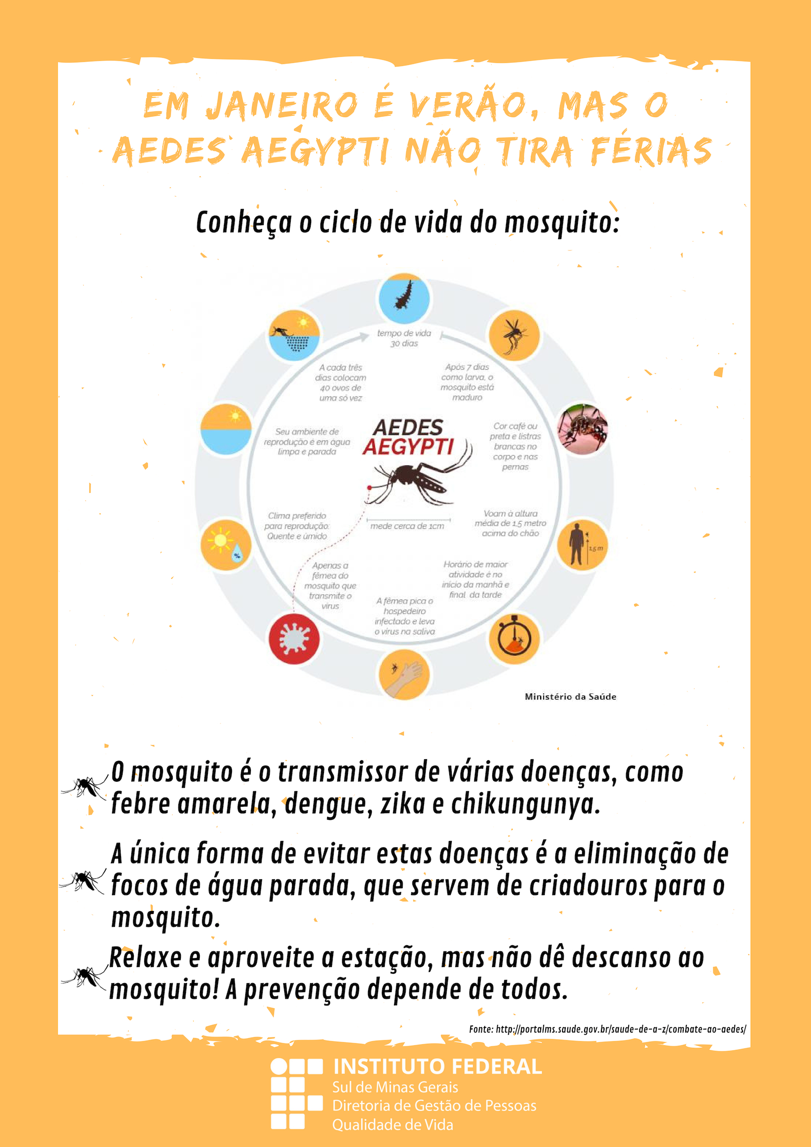 Cartaz combate ao aedes