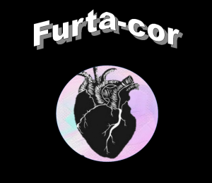 projeto furta cor