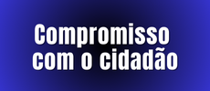 Inserir um título 230 x 100 px 9